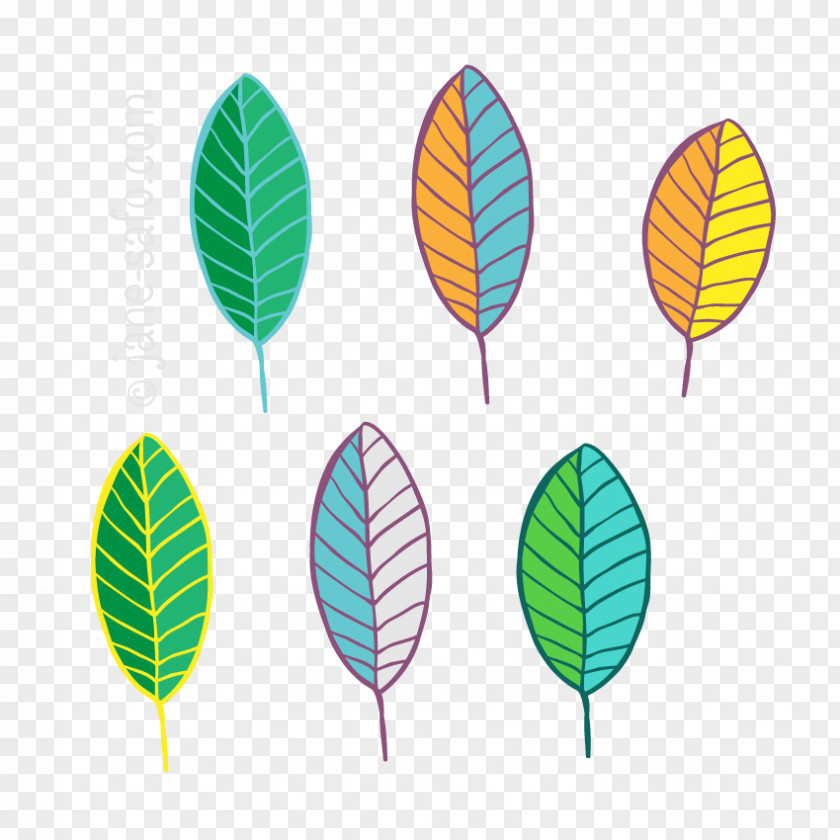 Leaf Color Clip Art PNG