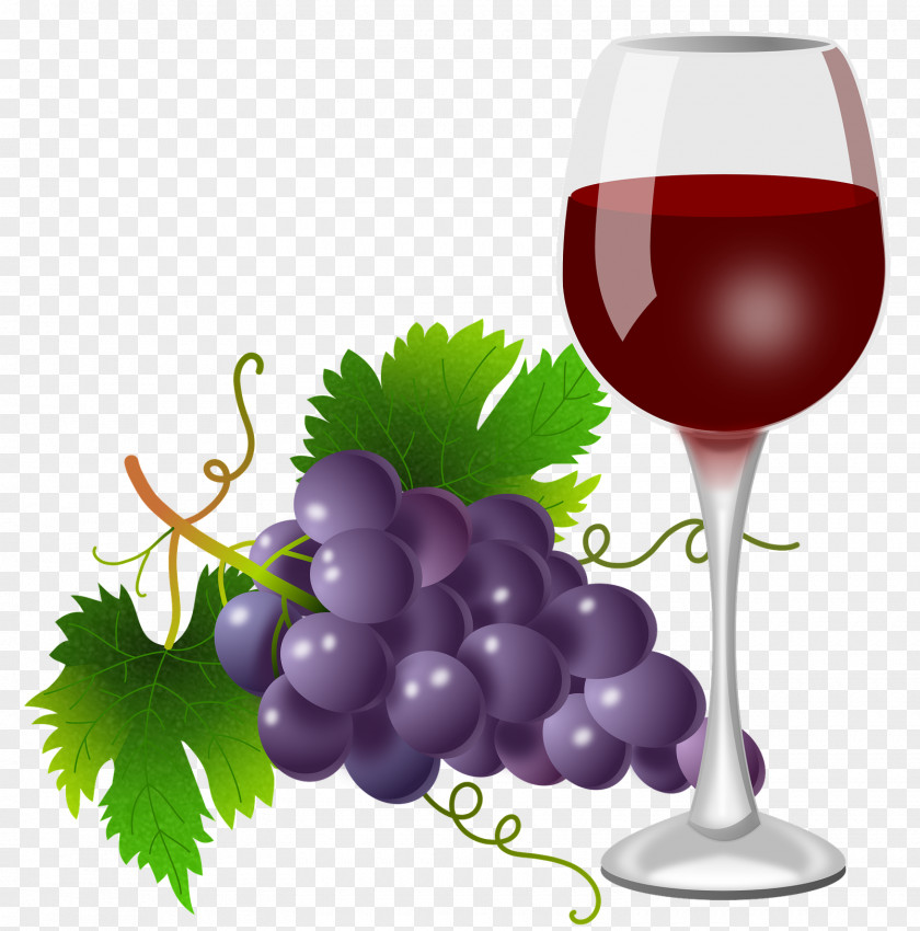 Vine Wall Red Wine Grape Clip Art Cabernet Sauvignon PNG
