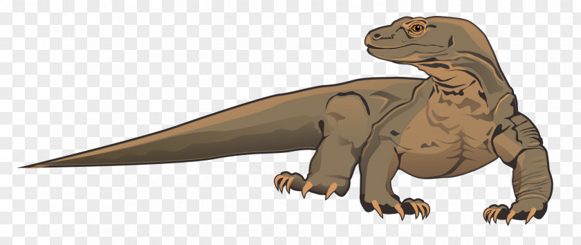 Bao Cliparts Komodo Dragon Lizard Clip Art PNG