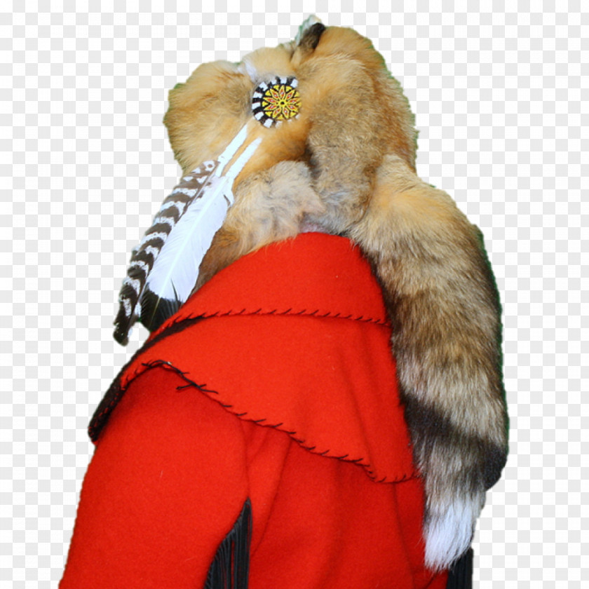 Fine Feathers Red Fox Lynx Fur Clothing PNG