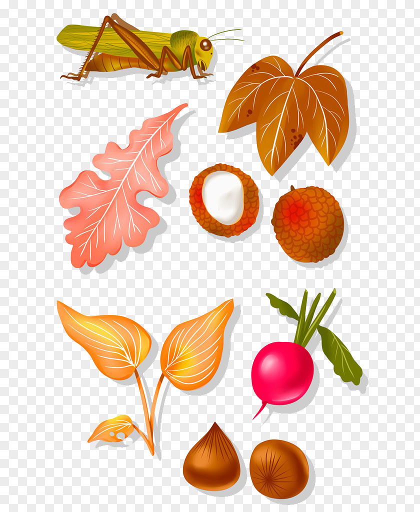 Grasshoppers And Lychee Fruit PNG