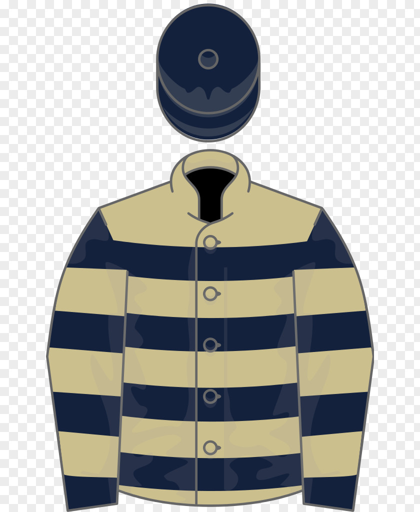 Navy Blue Thoroughbred Light Moyglare Stud Stakes PNG