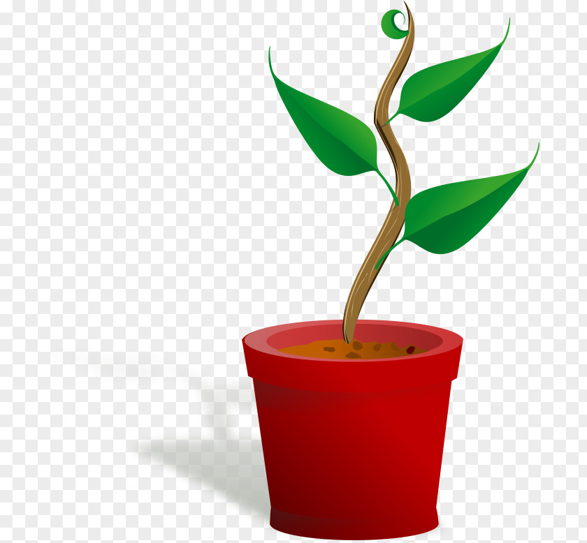 Plant Houseplant Flowerpot Clip Art PNG