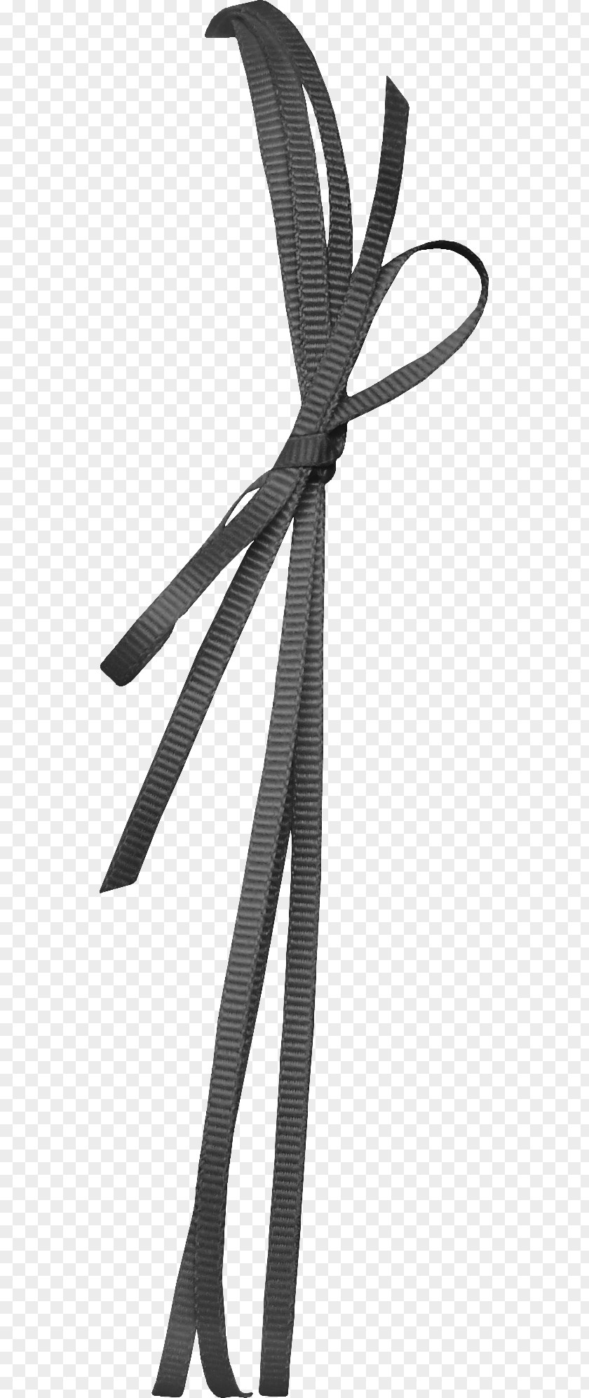 Rope Clip Art PNG