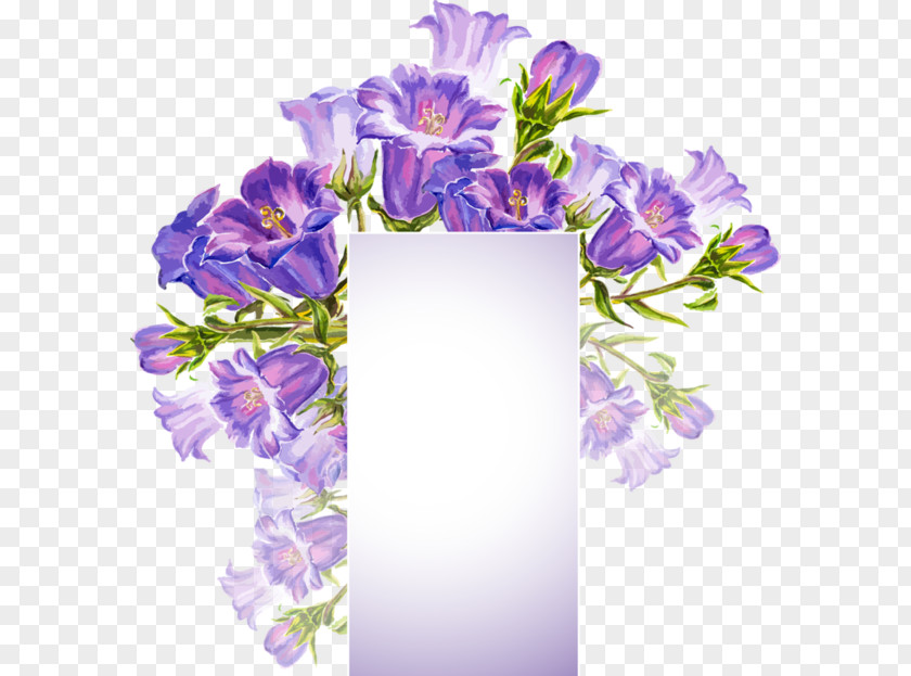 Flower Floral Design Picture Frames Borders And PNG