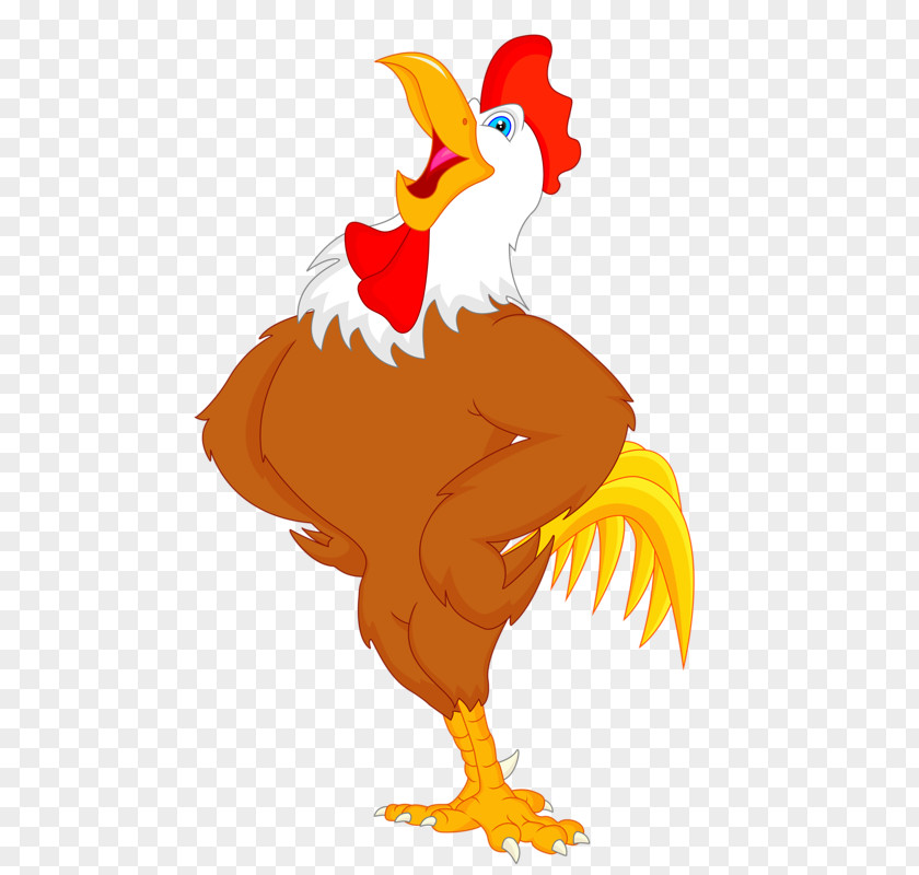 Granja Zenon Chicken Drawing Rooster Clip Art PNG