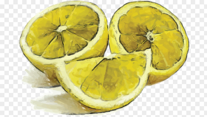 Lemon Orange Fruit PNG