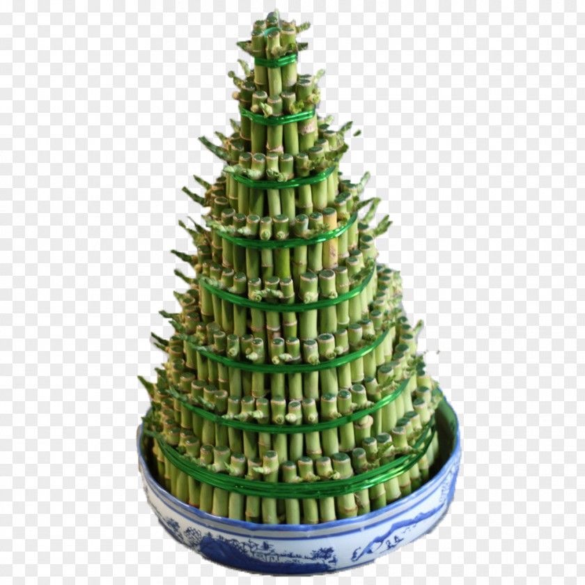 Lucky Bamboo In Kind Christmas Tree Spruce Fir Ornament PNG