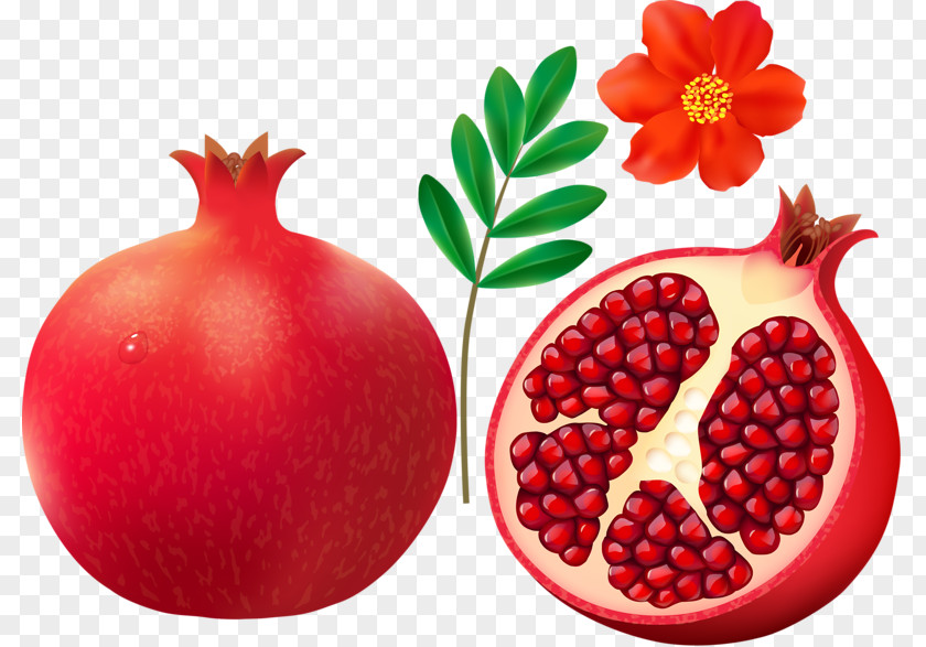 Red Pomegranate Juice Fruit PNG