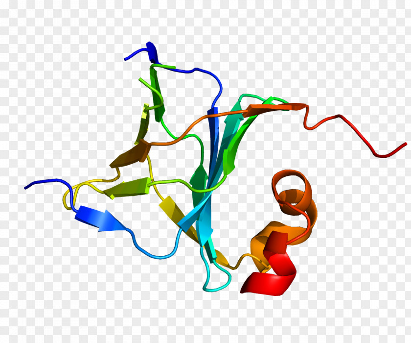 Striated Transcription Science BTF3 Protein Biology PNG