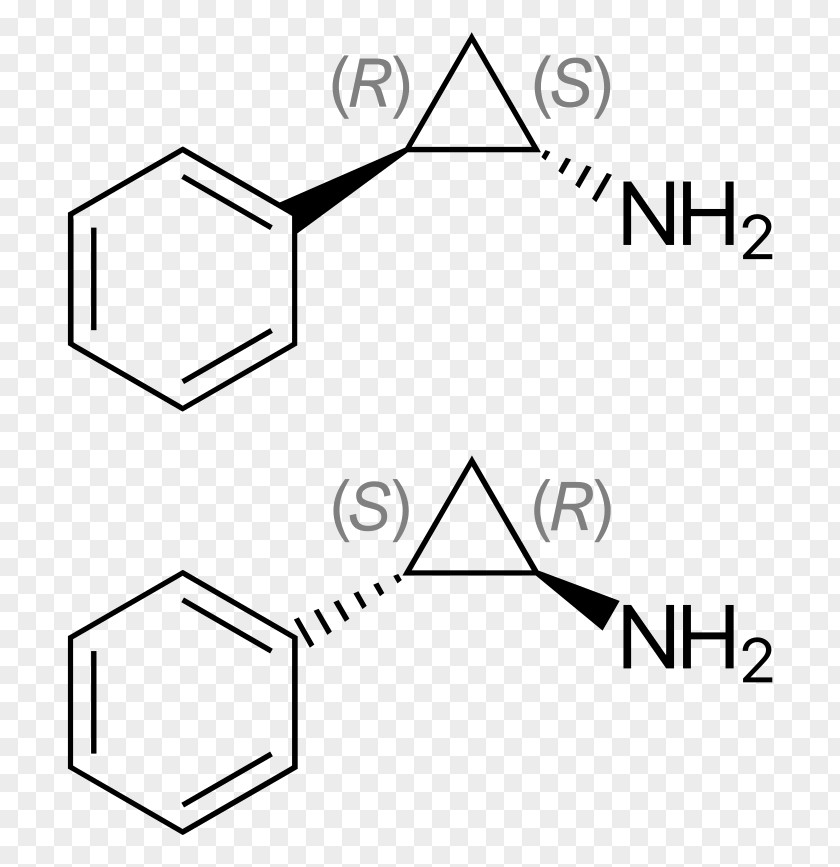 Tranylcypromine Amphetamine Monoamine Oxidase Inhibitor Stimulant Dopamine PNG