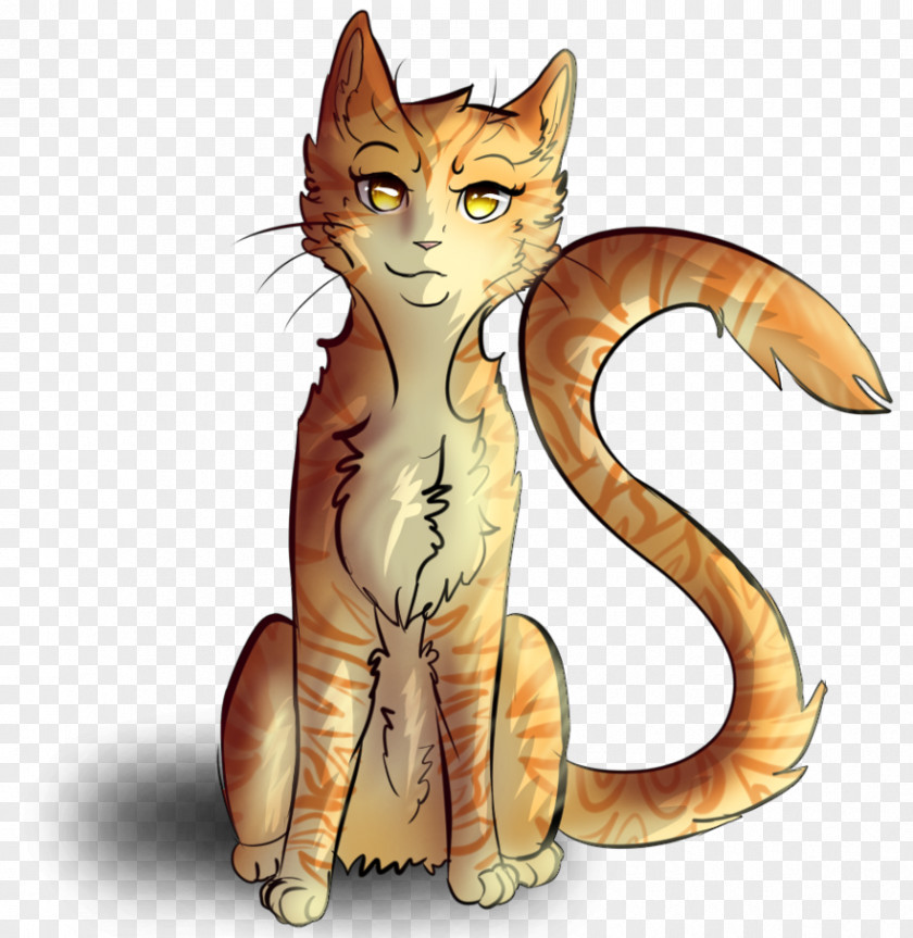 Cat Whiskers Tabby Illustration Paw PNG