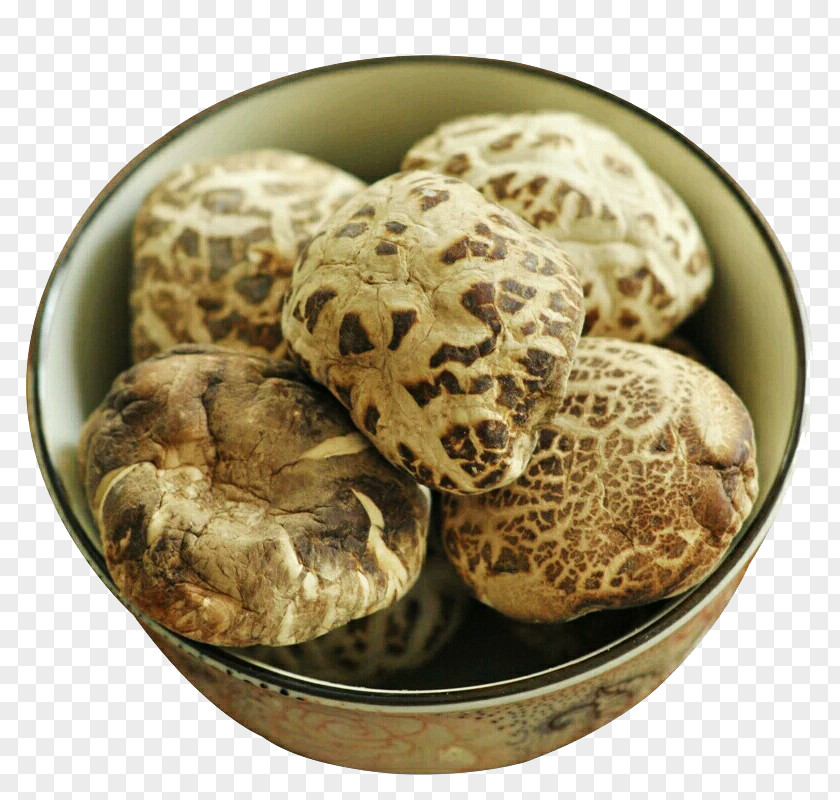 Extra Large Mushroom Mushrooms Edible Ingredient PNG