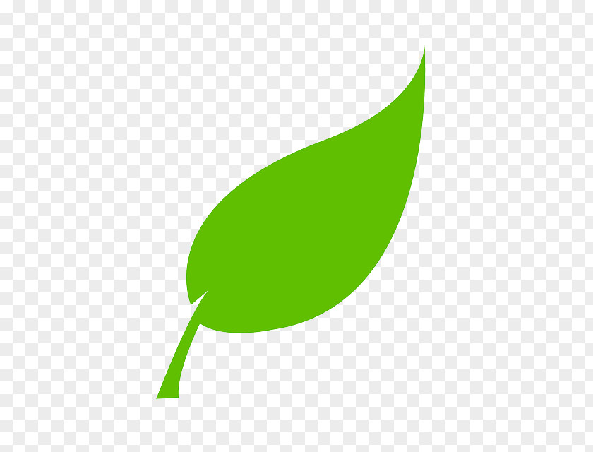 Leaf Clip Art PNG