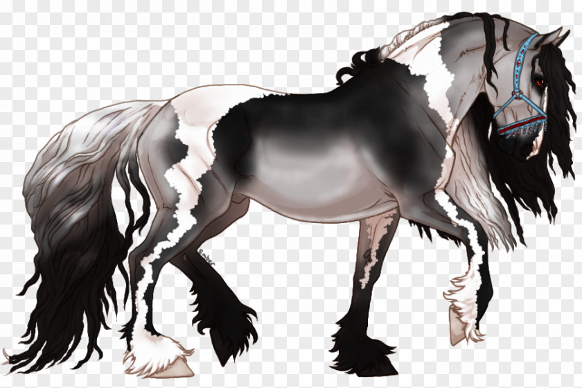 Mustang Mane Stallion Pony Mare PNG