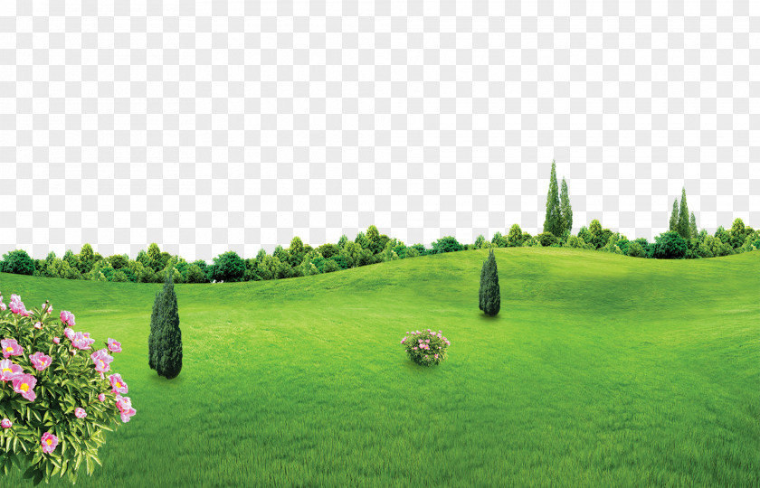 Spring New Green Background Effect Lichun Poster PNG