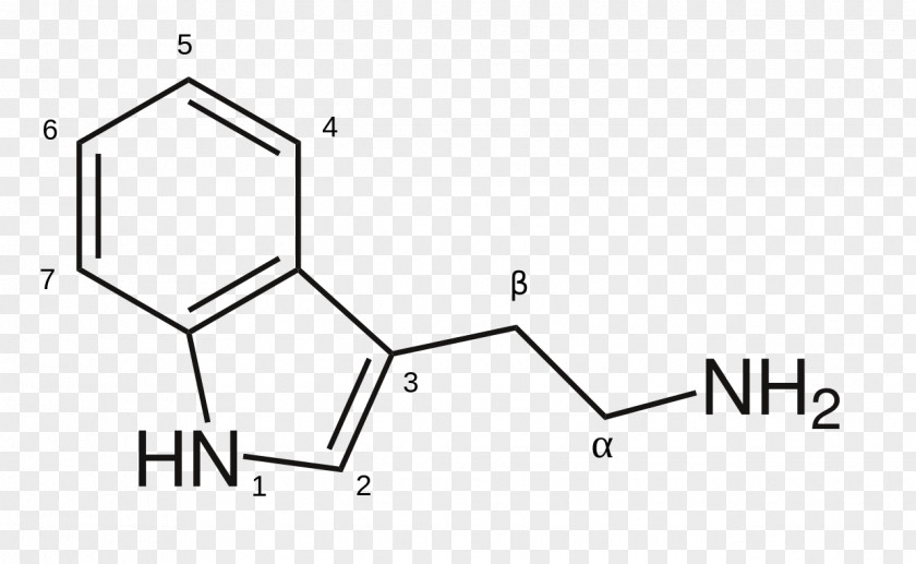 Structural Element 8-Anilinonaphthalene-1-sulfonic Acid Selenomethionine Chemistry Chemical Substance PNG