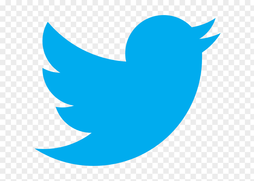 Twitter Logo Business PNG