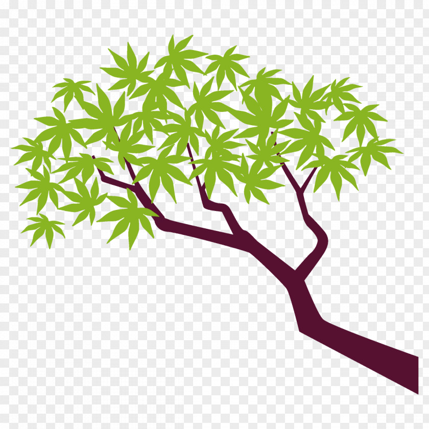 Flower Plant Stem Maple Branch Leaves Tree PNG