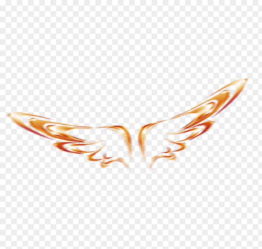 Golden Wings Wing Clip Art PNG