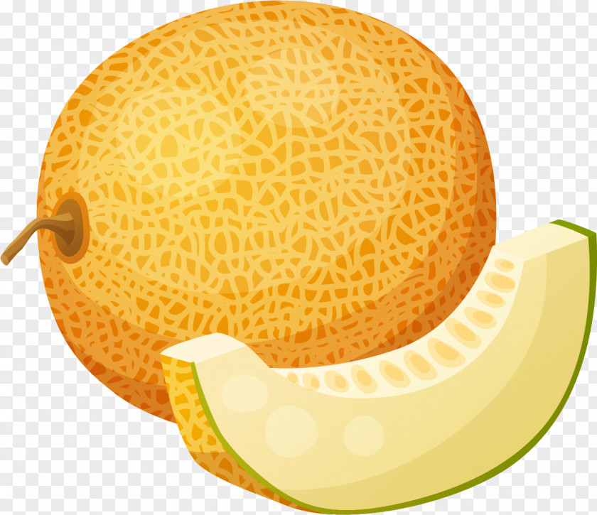 Golden Yellow Melon Juice Cantaloupe Honeydew PNG