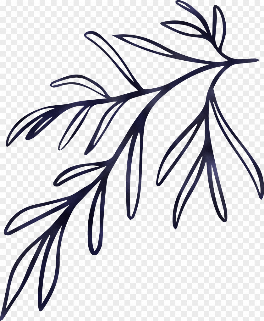 Simple Leaf Drawing Outline PNG