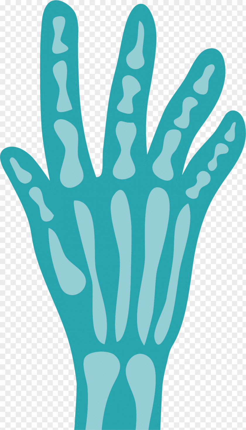Skeleton Palm Bone Finger PNG