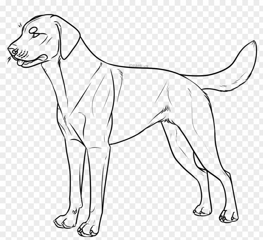 Dog Breed Labrador Retriever Line Art Harness Collar PNG