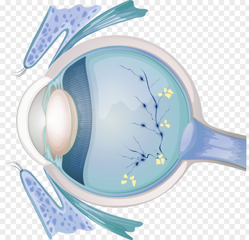 Eye Optician Examination Diabetic Retinopathy Visual Perception PNG