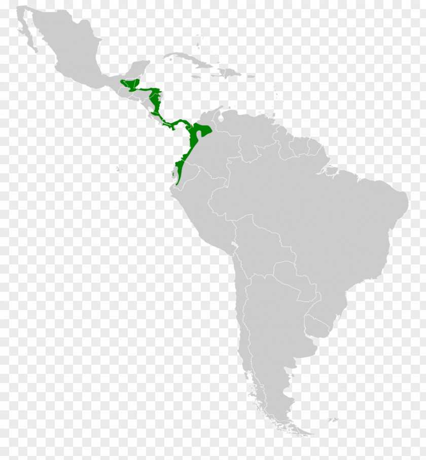 United States Latin America Central Southern Cone The Guianas PNG