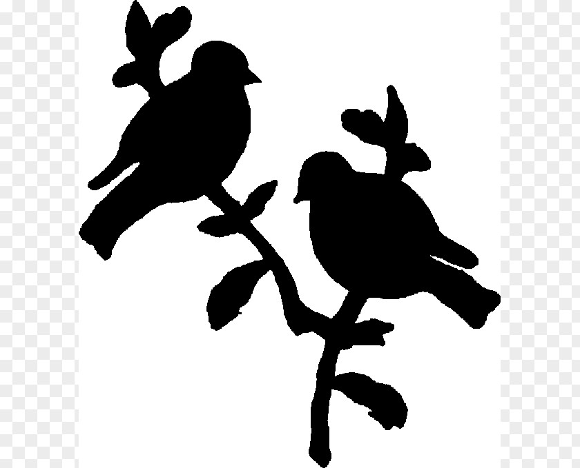 Bird Silhouette Cliparts Clip Art PNG