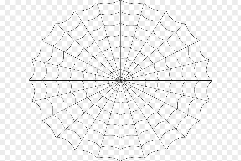 Hairy Vector Spider Web Clip Art PNG