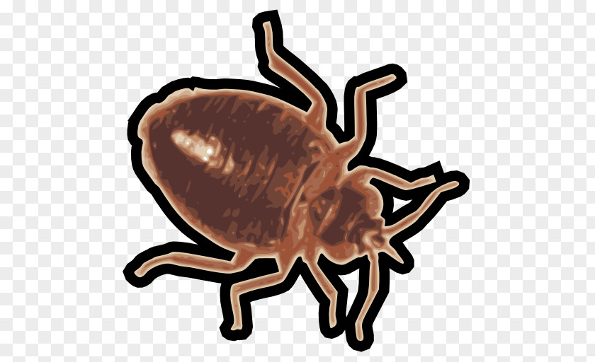 Insect Crab Bed Bug Image Scanner PNG