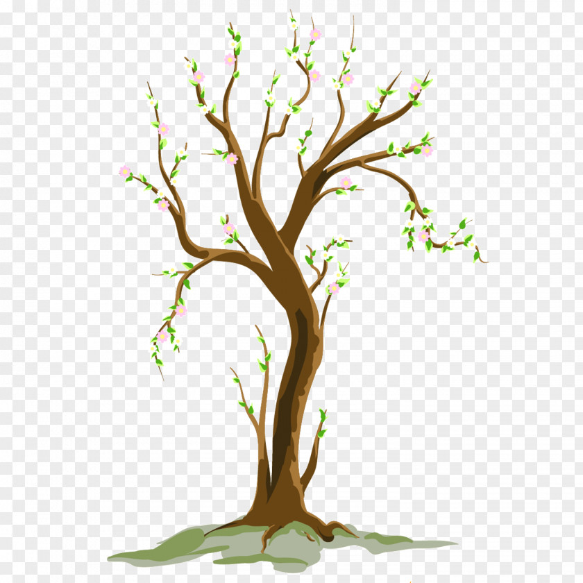 Plant Sprout Clip Art Tree Free Content Illustration PNG