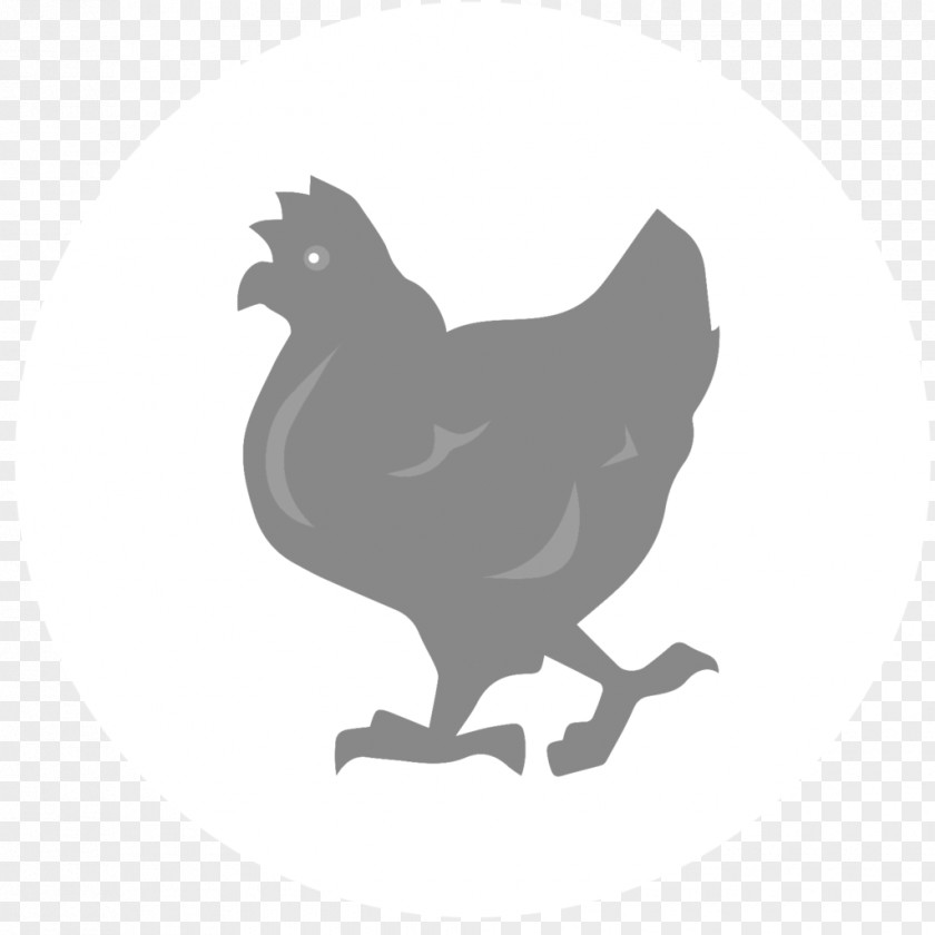 Single Vs Married Hen Rooster Chicken As Food Fauna Silhouette Black PNG