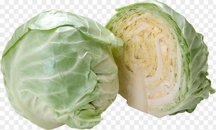 Cabbage Image Savoy German Cuisine Vegetable Kale PNG