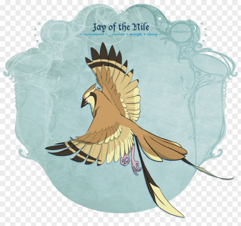 Jay Z Bird Of Prey Beak Feather Wing PNG