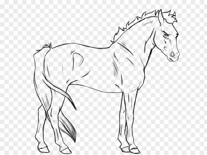 Line Art Stallion Foal Mustang Pony PNG