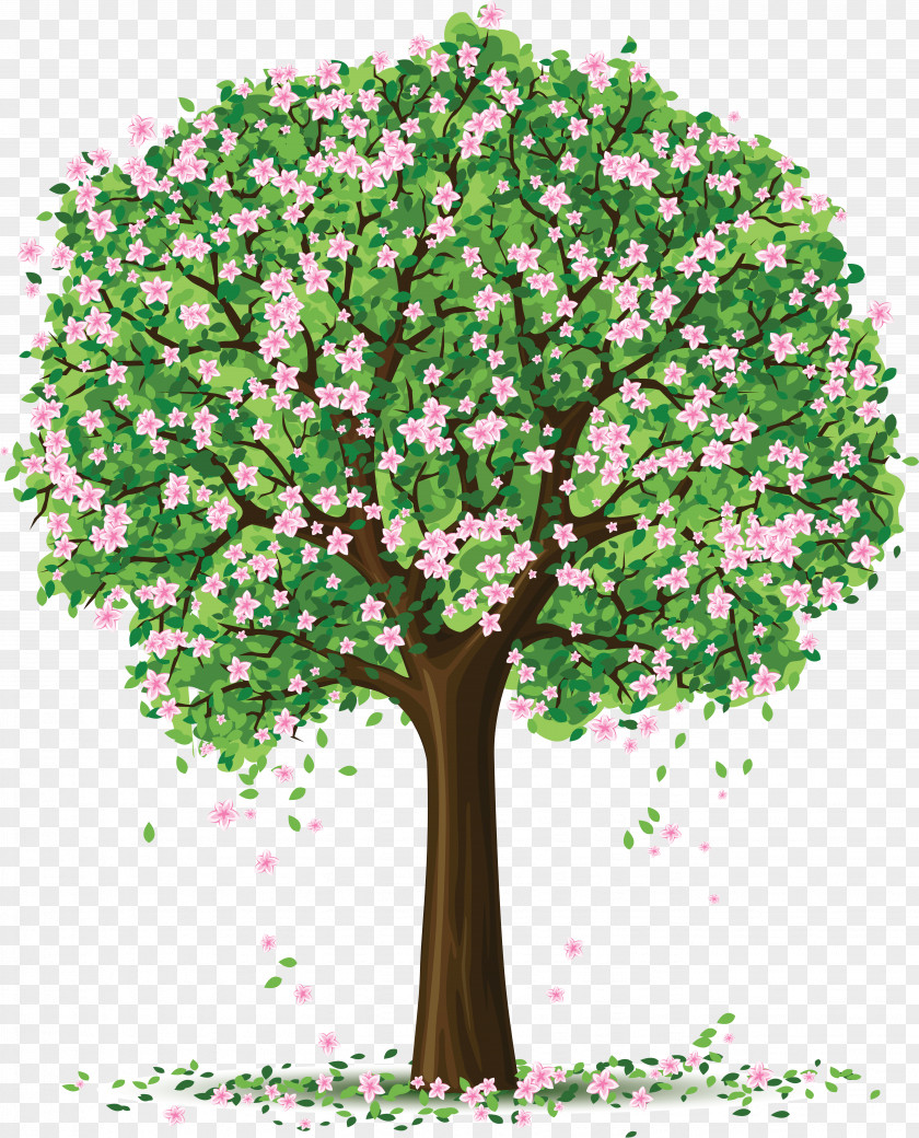 Sakura Flower Drawing Blossom Trees Vector Graphics Tree Clip Art PNG
