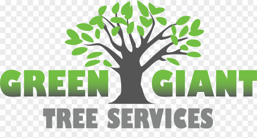 Tree Green Giant Services Pruning Trunk Hurricane-proof Building PNG