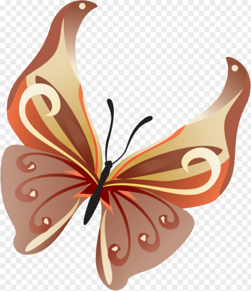 Butterfly Photography Digital Image Clip Art PNG