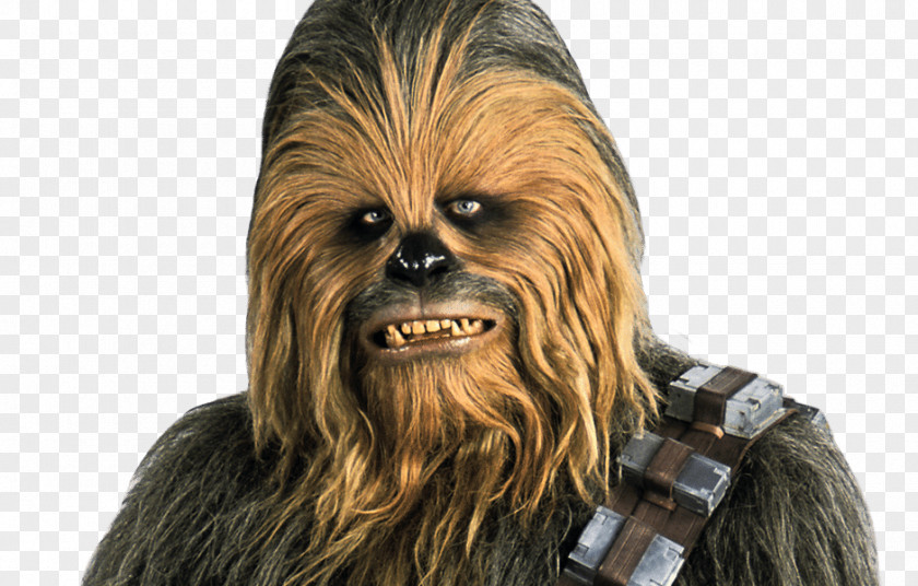 Chewbacca Animated Anakin Skywalker Leia Organa Palpatine Han Solo PNG