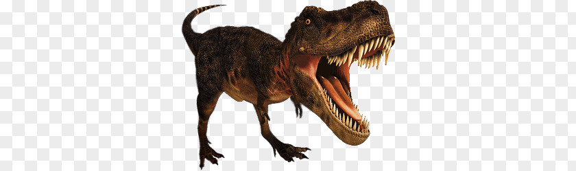 Dinosaur PNG clipart PNG