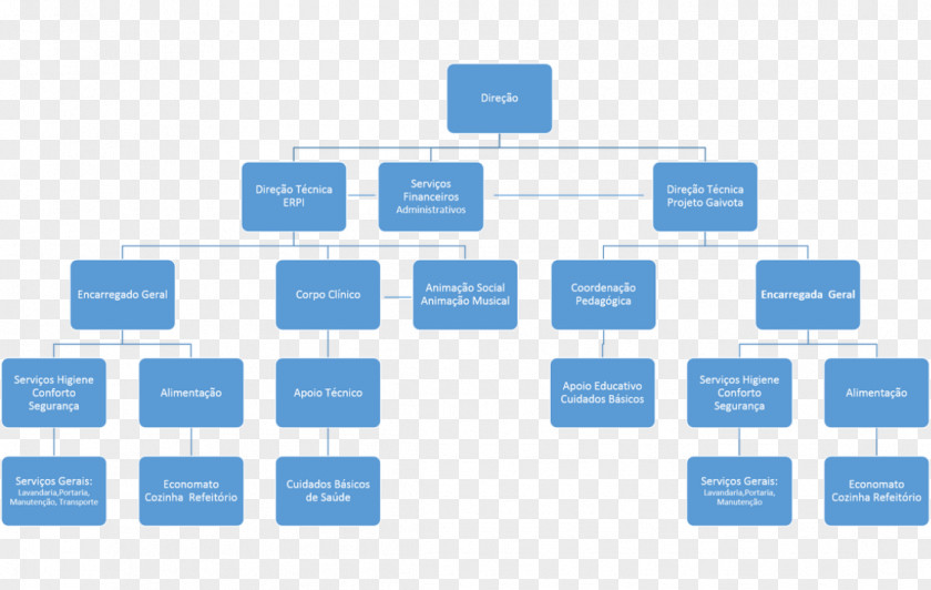 Marketing Organizational Structure Management Chart PNG