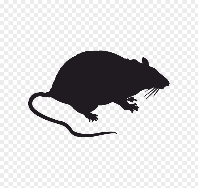 Mouse Rodent Brown Rat Sticker Decal Blanket PNG