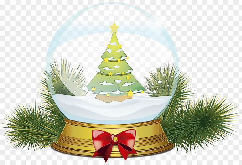 Plant Pine Christmas Tree PNG