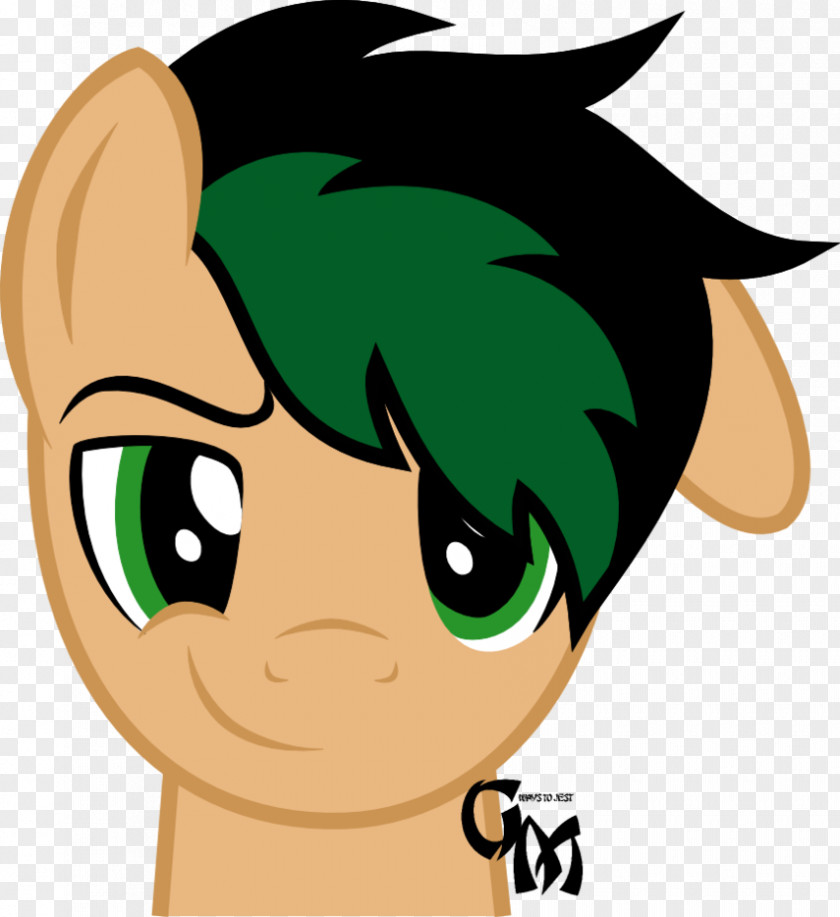 Proud Horse Mammal Hair Face Arm PNG