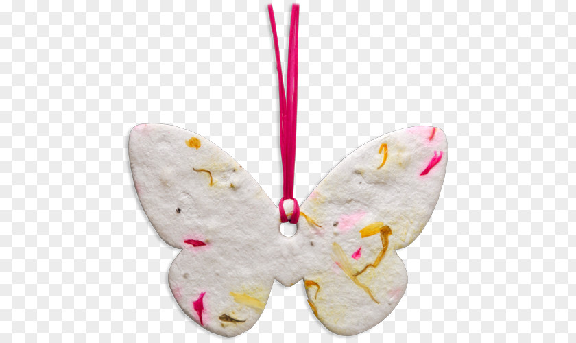 Seed Card Moth PNG