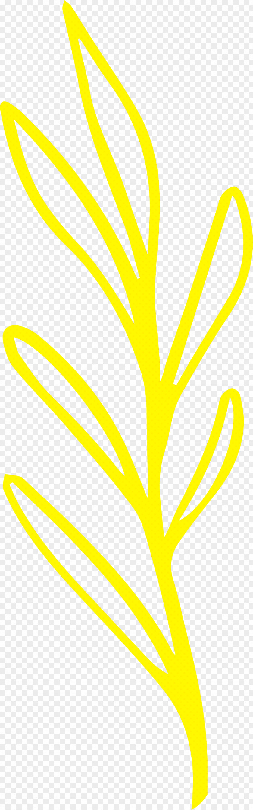 Simple Leaf Drawing Outline PNG