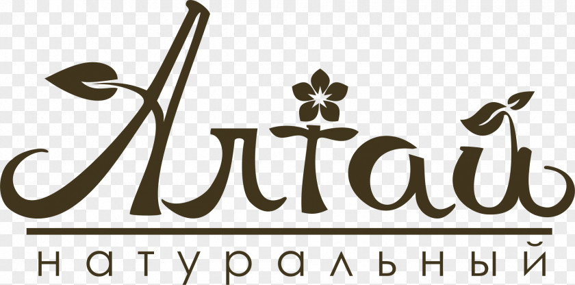 Tea Herbal Altai Republic Herbaceous Plant PNG